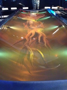 Wellington - Picton-036